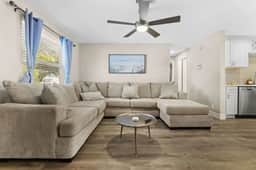Lantana Peace - Image 4