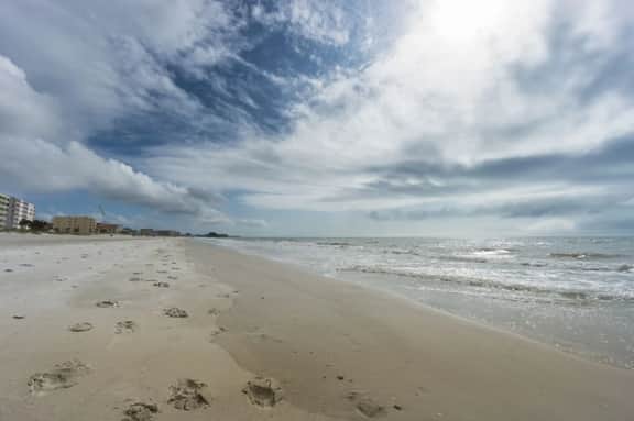 Tropic Breeze 19 – 1BR Madeira Beach Condo | Steps to Gulf & Shops - Image 3