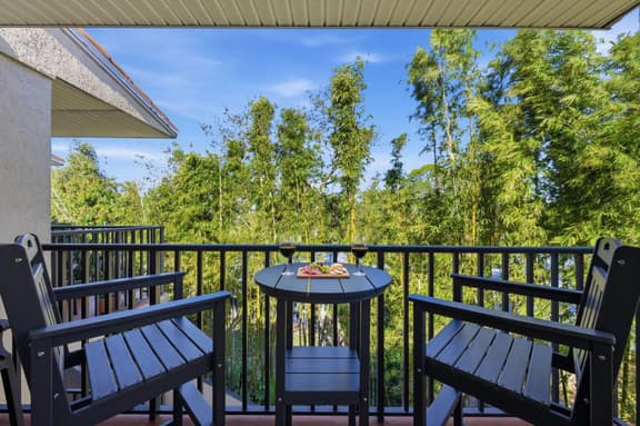 Sunset Studio Retreat | Beso Del Sol Dunedin | Waterfront Views - Image 1