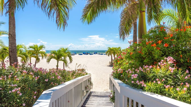 Navigating All of the Top Beaches in St. Petersburg