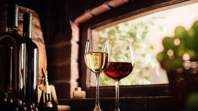 Sip Some Bubbly at a St. Pete Winery