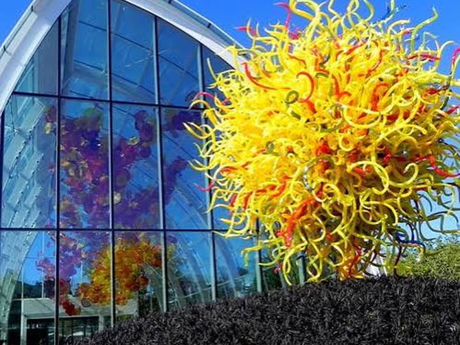 Chihuly Collection